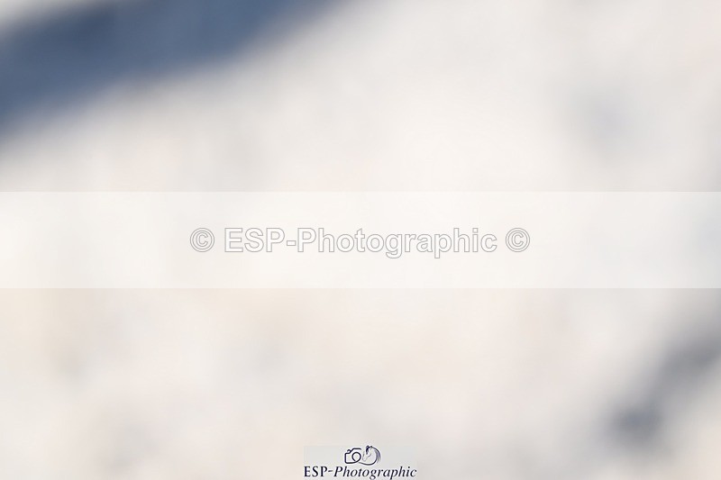 240811-153541-06693 - Inter I Gold