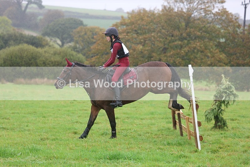 3E7A0910 - Class 1: 65cm: Rails