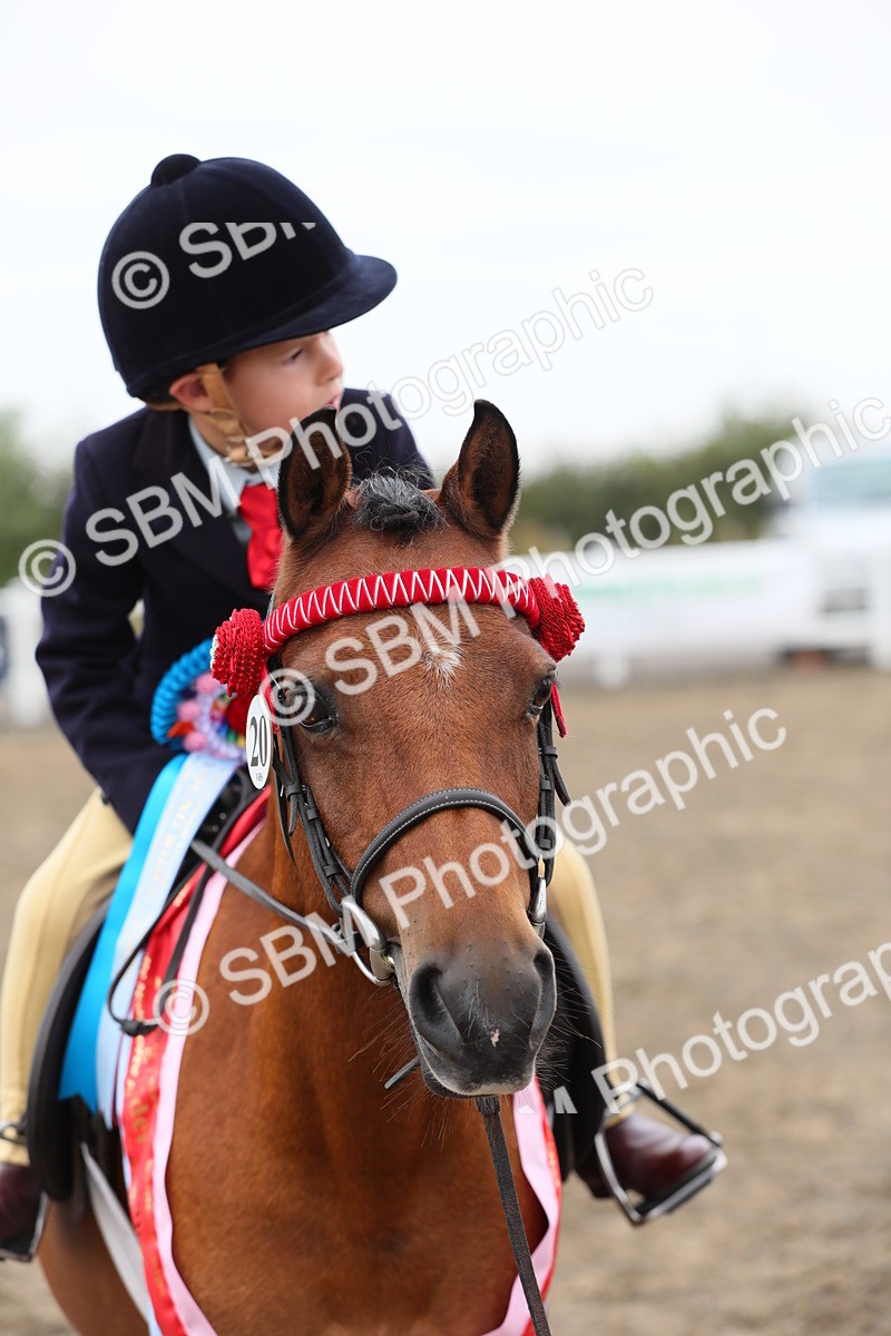 SBM_21876 - Class 806 - Young ridder 10 Yr & Under