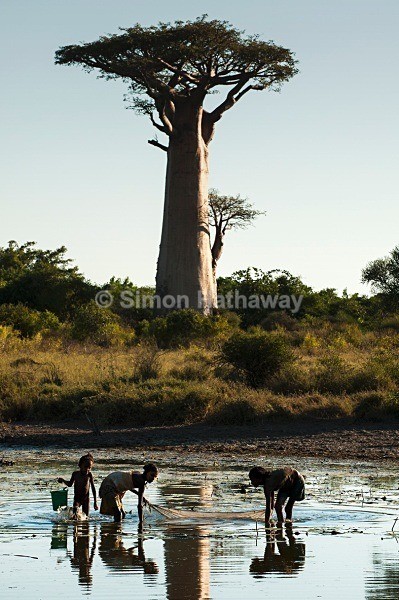  - Madagascar