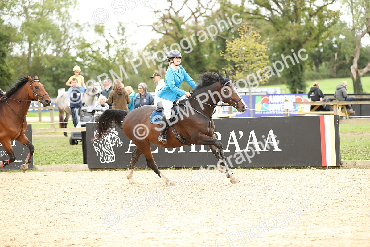 SBM_63215 - Supreme championship 75cm 80cm