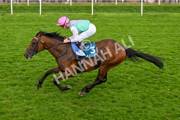 170524-Race 5-Lead Artist-8342 - Race 5 4.15pm  Darley EBF Novice Stakes