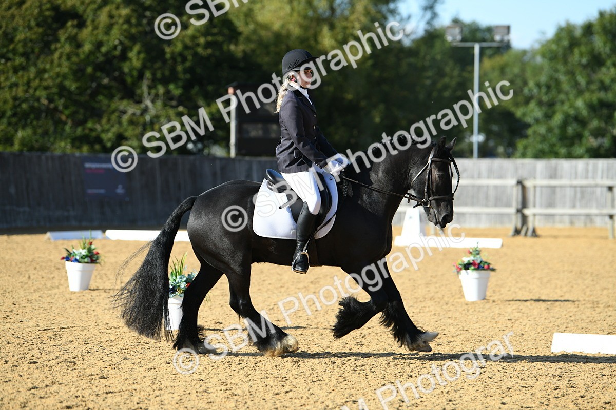 SBM_28454 - D16 - Small Tour Championship - Novice 28