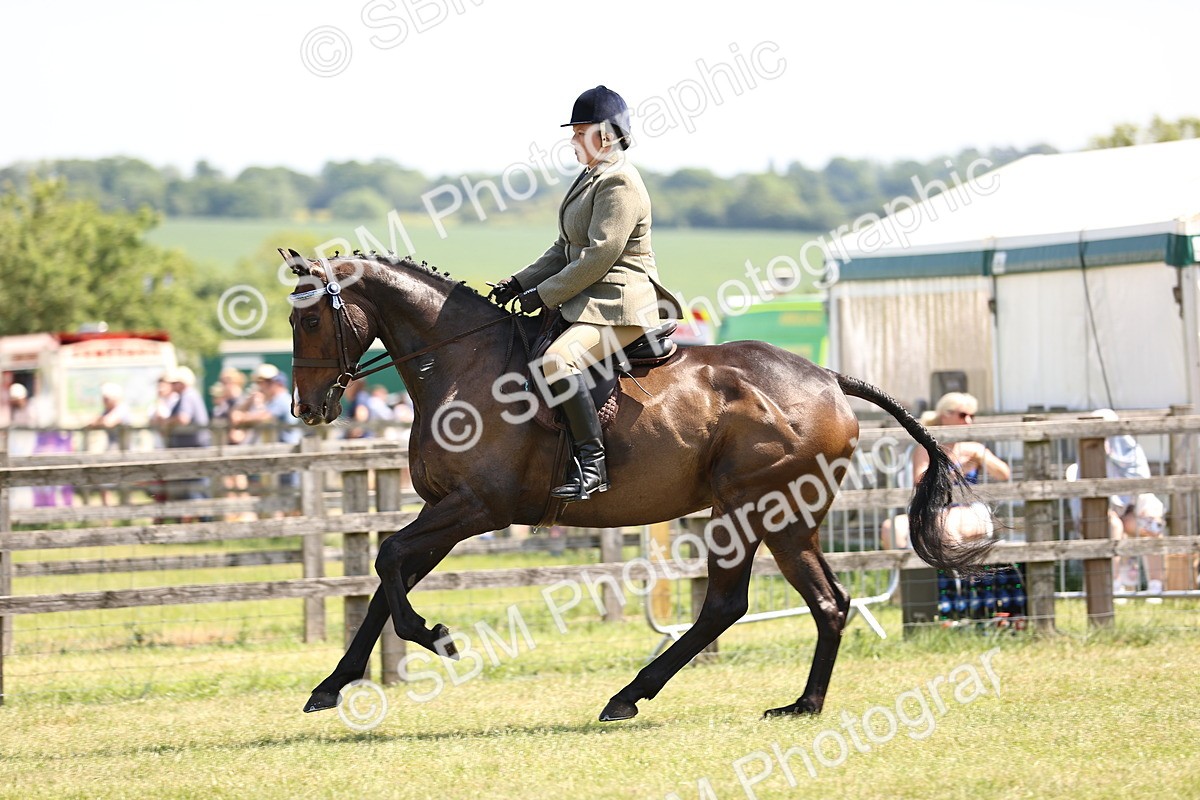 SBM_14932 - Class 78 - LIHS BSHA Open Racehorse & Show Horse
