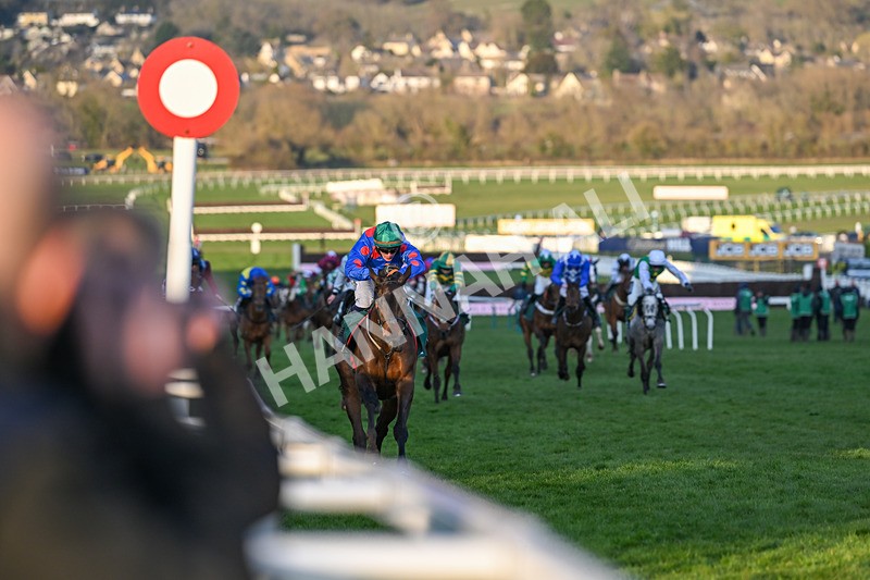 140325-Race 7-Wodhooh-6097 - 14th March