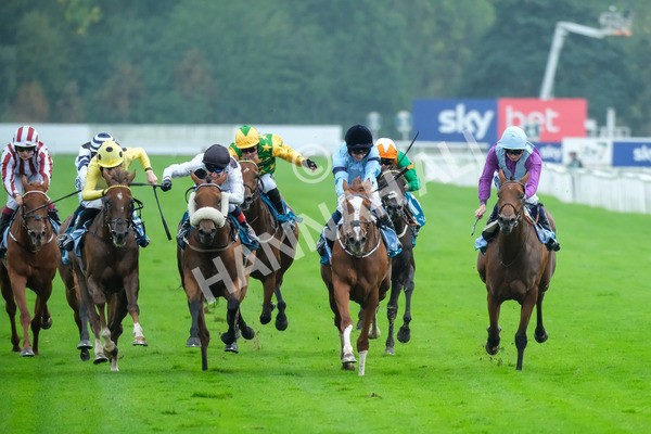 080925-Race 6-Rhapsody-9588 - Race 6 5.00pm Sky Bet Build A Bet Fillies' Handicap