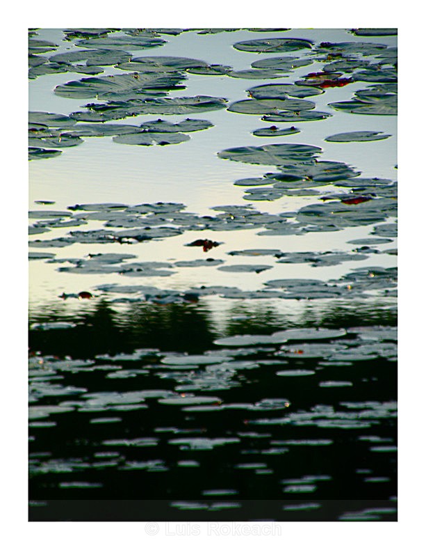 Vice-versa - Réflexions Montreal 2010
