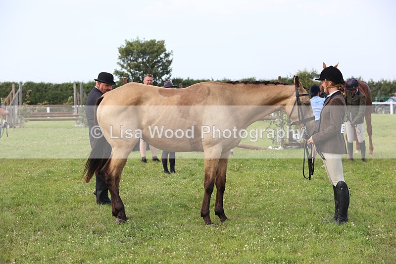 JPP_4548 - Class 26: Working Hunter 1m
