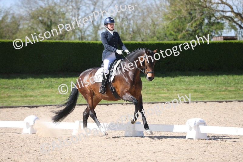 20260405-0598 - Class 7 - Medium 5