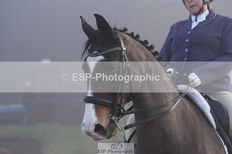 260213-090528-00488 - 105-Nicola.Seal