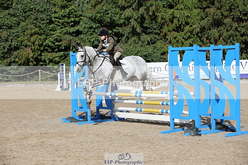 250803A-171813-17815 - R-824-Poppy.Wilkinson-DAISY.DER.BLUME