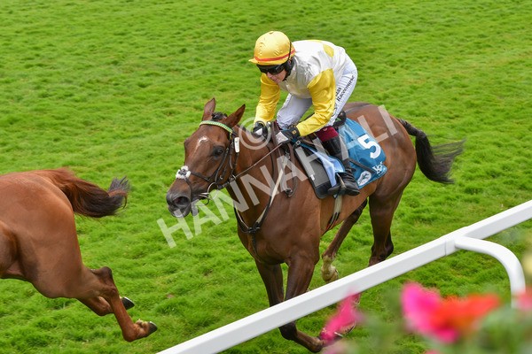 170623-Race 1-Kihavah-6914 - Race 1 2.00pm Queen Mother's Cup Handicap