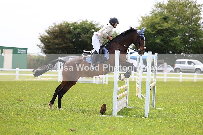 3E7A1450 - Class 13: Senior British Novice/90cm open