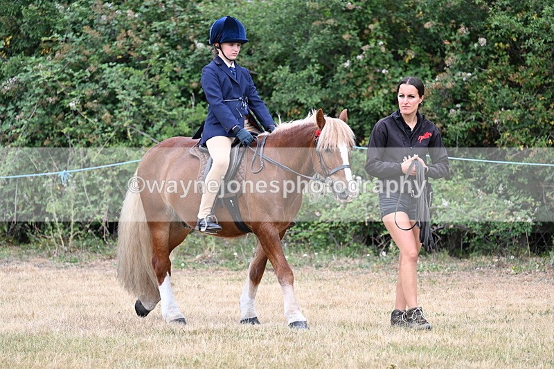 WJ7_0112 - Class 2 Best rider