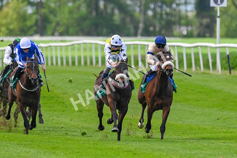 020526-Race 1-Arapaho Gold-9119 - Race 1 1.35pm Steve Poskitt's 60th Birthday Restricted Maiden Stakes