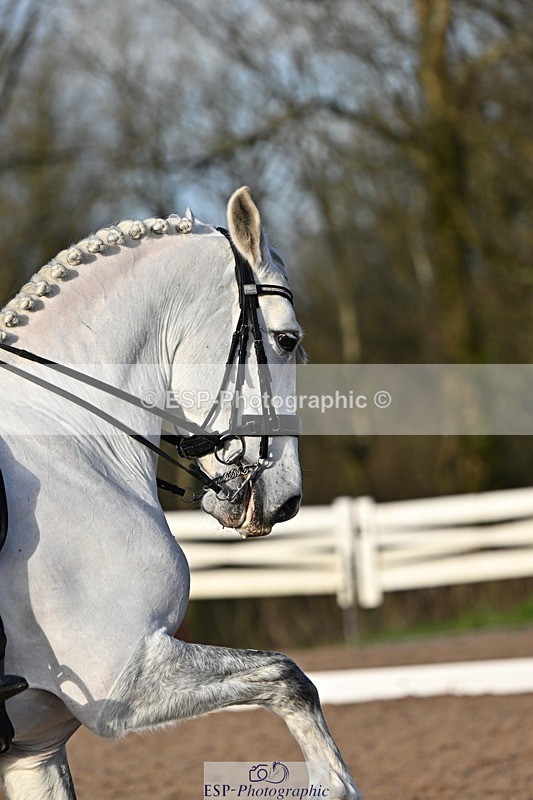 241214-135108-02610 - 102-PAULA.LEE-Deseado.Santo