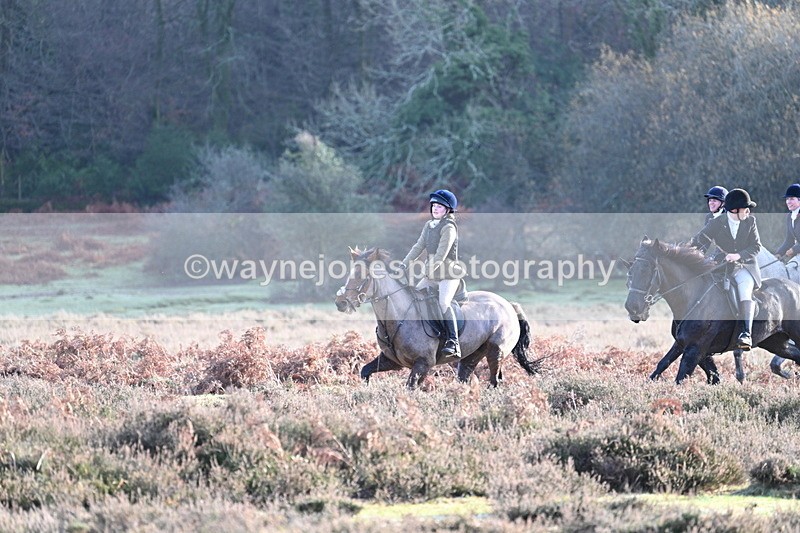 WJ7_7907 - Line 3 (no line 4 or 5)