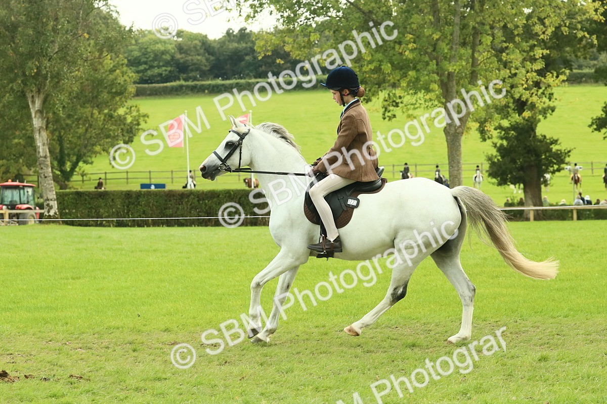 SBM_69922 - S59 - Mountain & Moorland Ridden Small Breeds