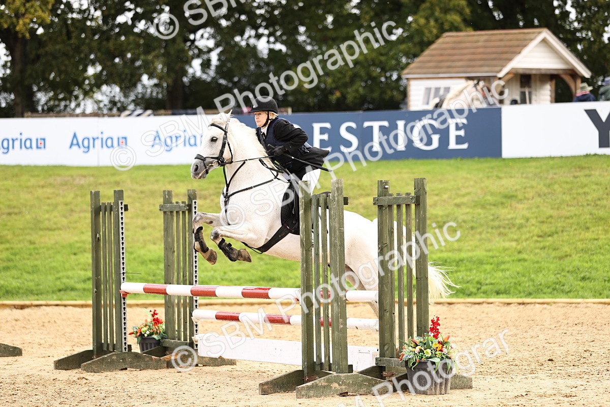 SBM_41059 - J40 Senior Horse & Pony 90cm Supreme Championship
