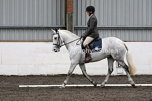 SIAL4214 - CAbin Dressage 5th july 2025