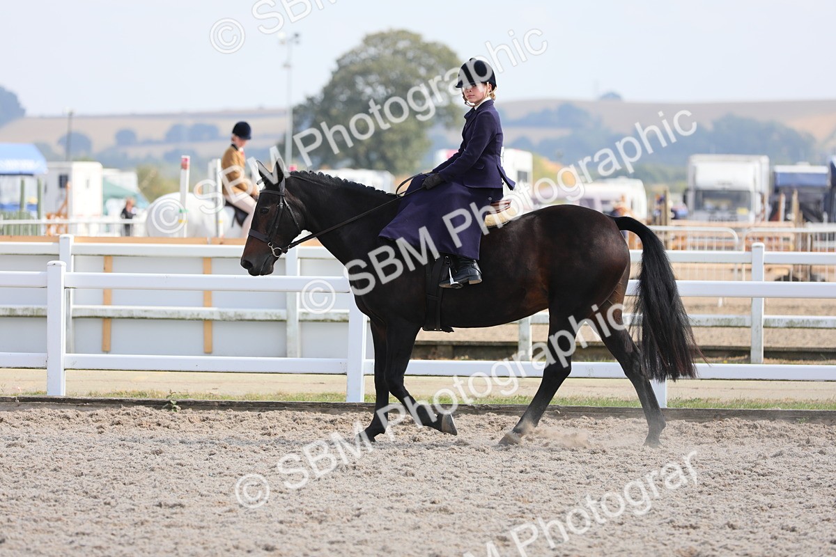 SBM_14578 - Class 211 Best Side Saddle Horse/Pony