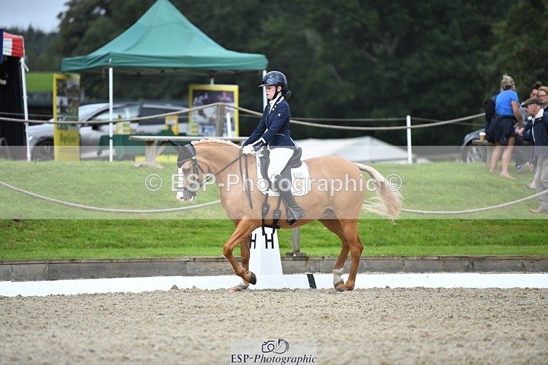 230812-123841-04169 - Cls 6 Novice Silver 12.10 to End