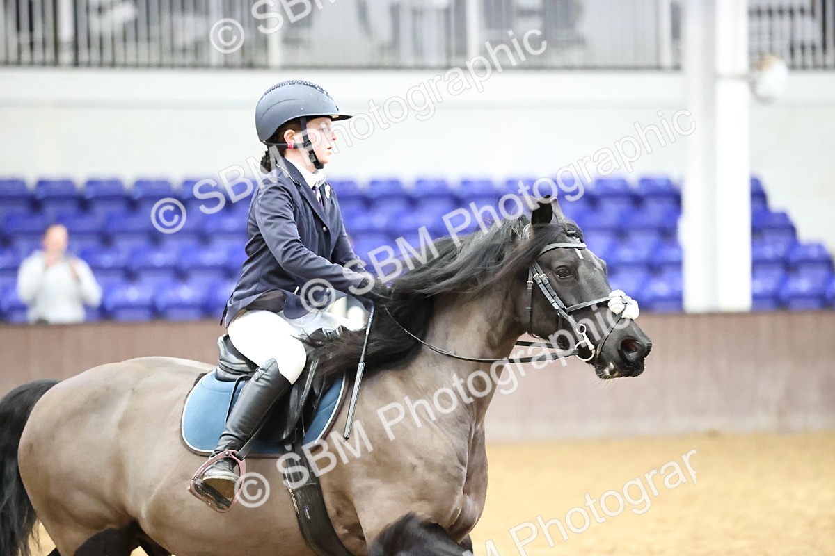 SBM_000675 - Class 3 - 60cm