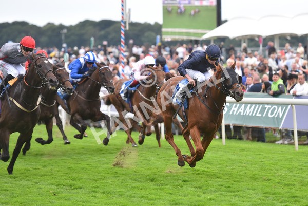 yr20082021r7-35 - Race 7 5.10pm Sky Bet Mile