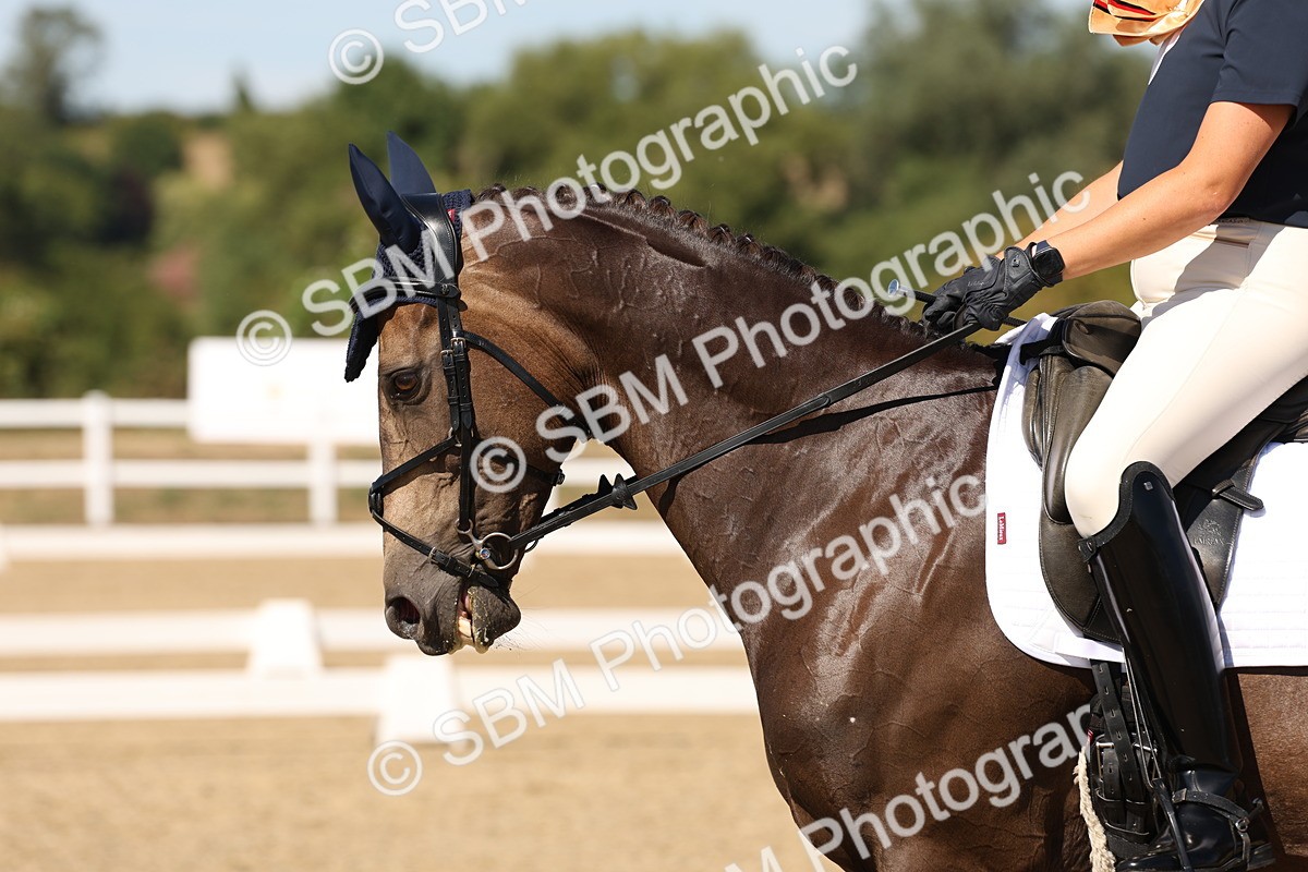 SBM_003724 - Elementary 4