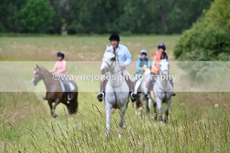 WJ6_8089 - Camera 1 Gallops