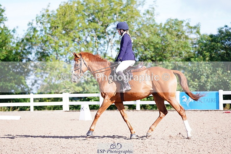 240809A-090240-00133 - Dressage Competition