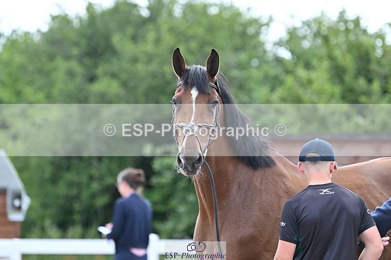 240717A-143551-02134 - Trot Up 2pm to 3pm - This folder is not in time order