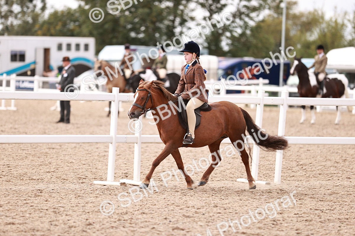 SBM_14365 - Class 409 - Grassroots Ridden - Pony