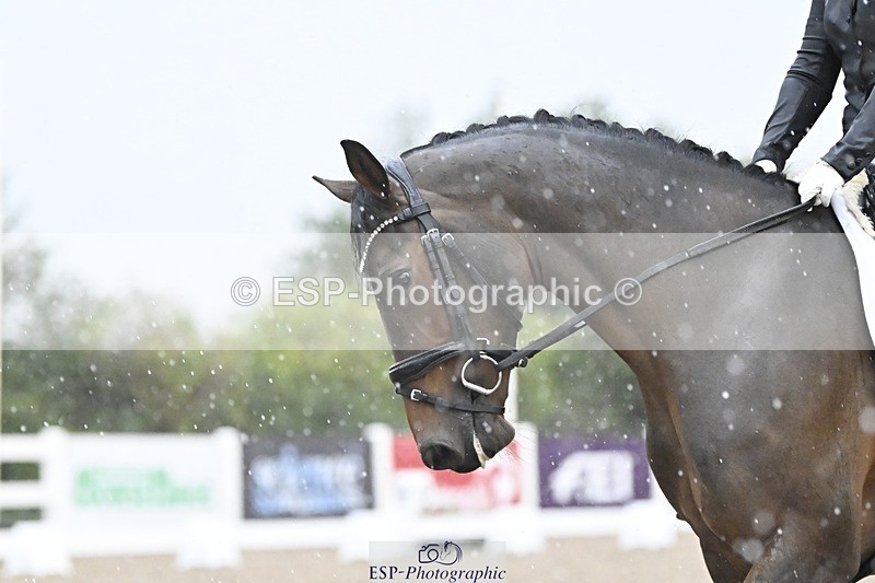 250907-080523-05569 - 023-Lucinda.PaullImperatrix