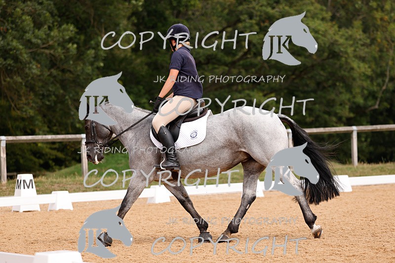 _R6A2852 - Dressage Morning