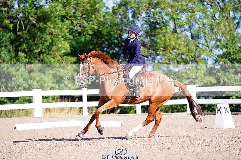 240809A-090436-00143 - Dressage Competition