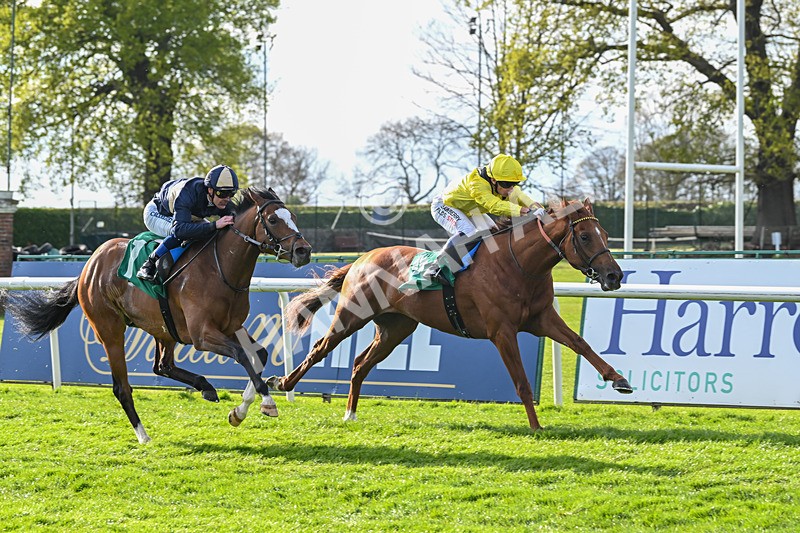 220425-Race 3-Teroomm-8933 - Race 3