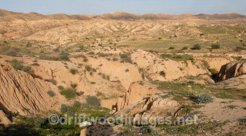 Matmata countryside 5 - Tunisia