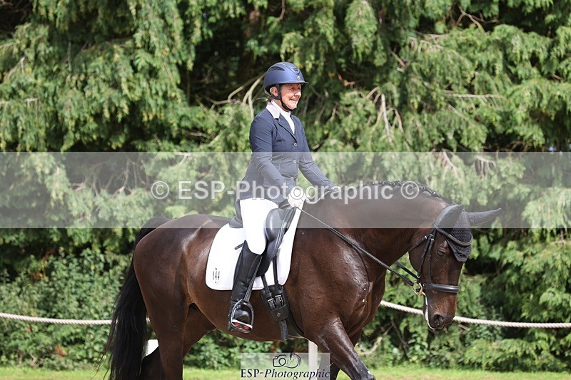 230812-152824-05148 - Cls 5 Novice Bronze 15.00 to End