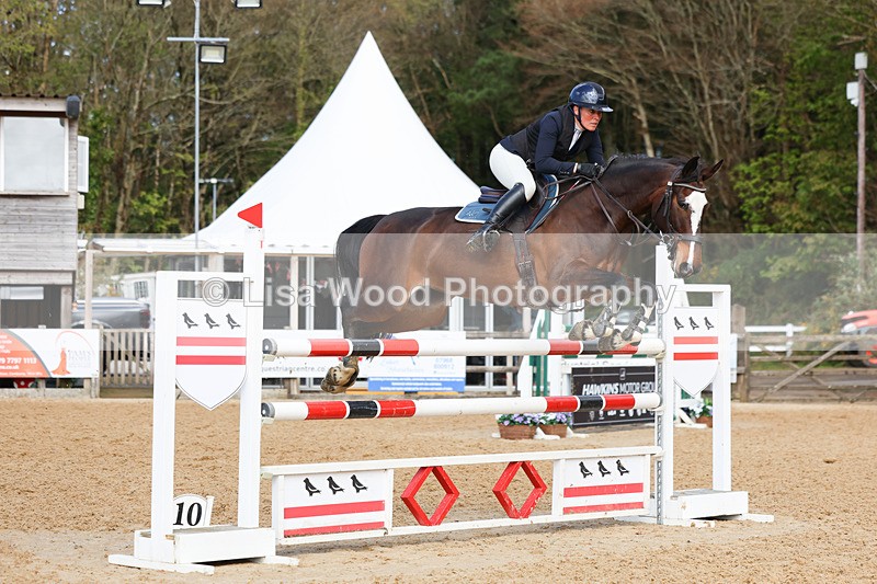 3E7A2178 - Class 8: Senior Foxhunter/1.20 open