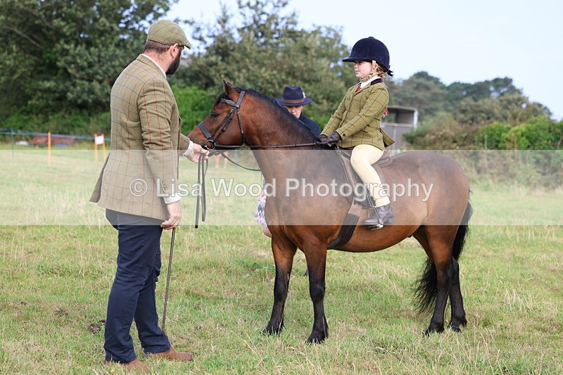 3E7A3627 - Class 2: Lead rein