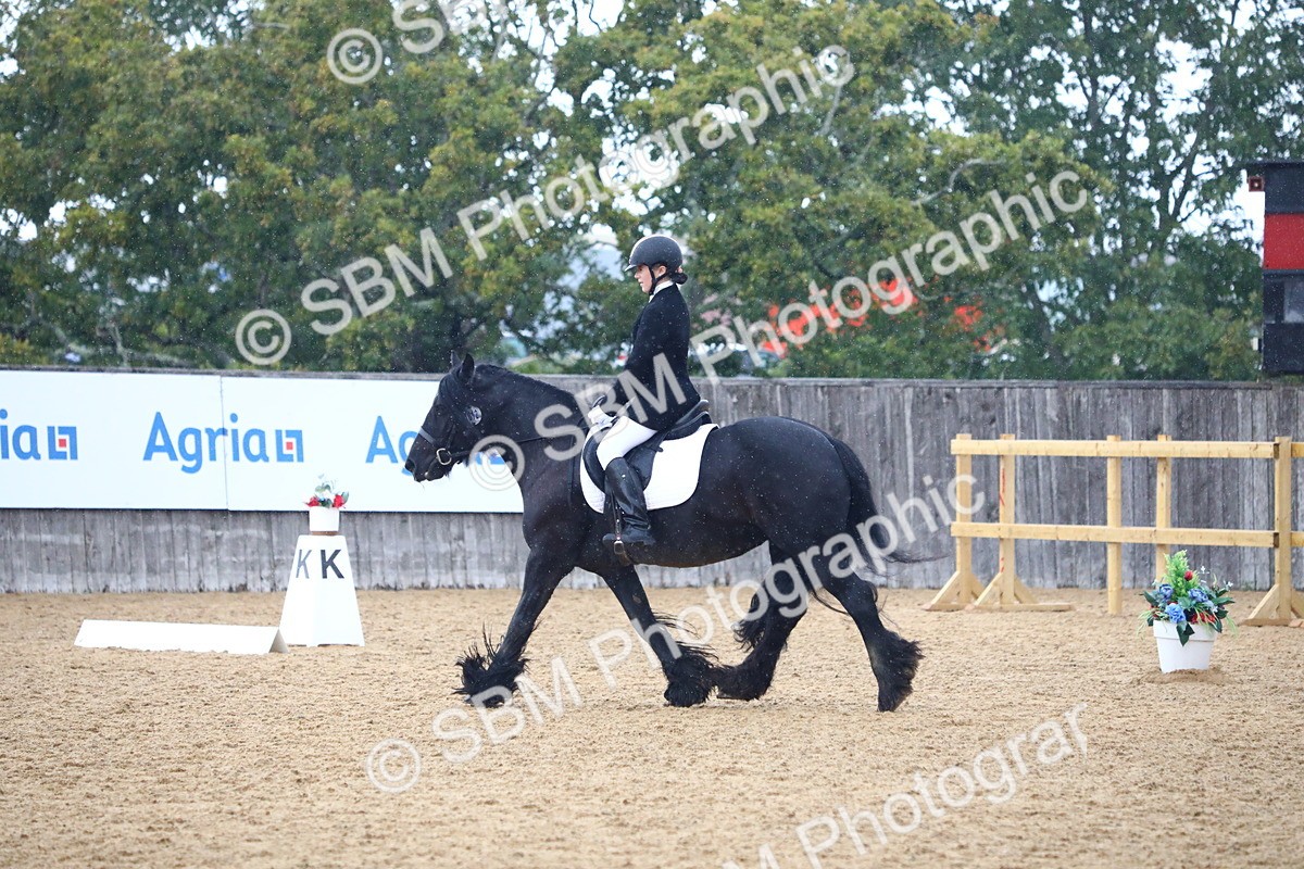 SBM_42831 - D21 - Junior Championship Intro 1