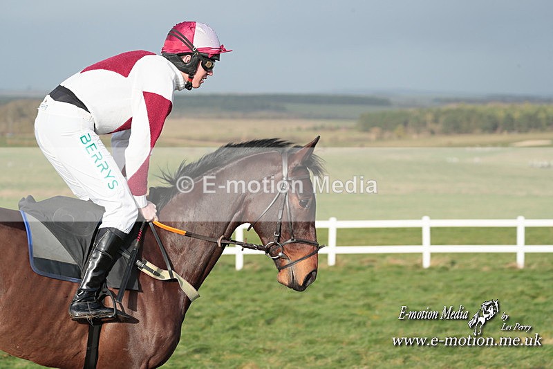 PtP 311223 495 - Larkhill Racing Club Point-to-Point 31/12/23
