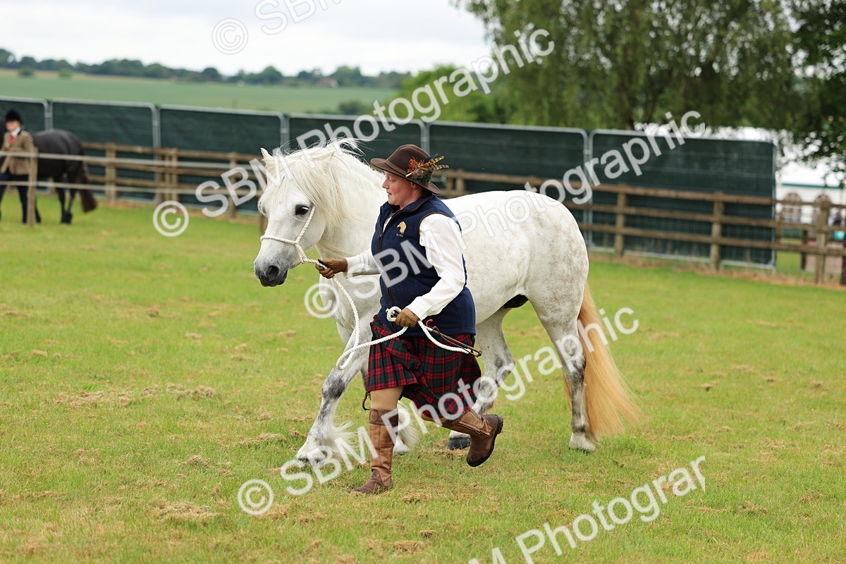 SBM_00537 - Class 58-67 - M&M Non Welsh Pony In hand