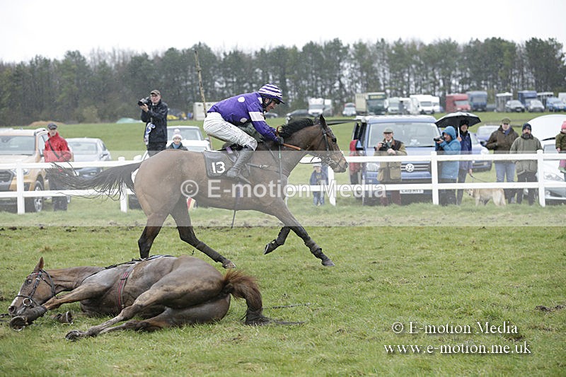 PtP 150320 0365 - New Forest Point-to-Point Larkhill 15/03/20