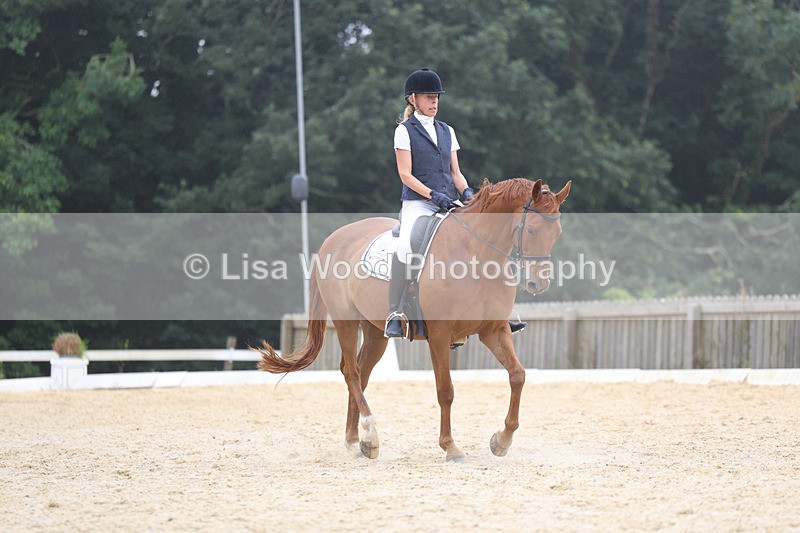 3E7A7408 - Class 9: Elementary 4 2024 - No sections