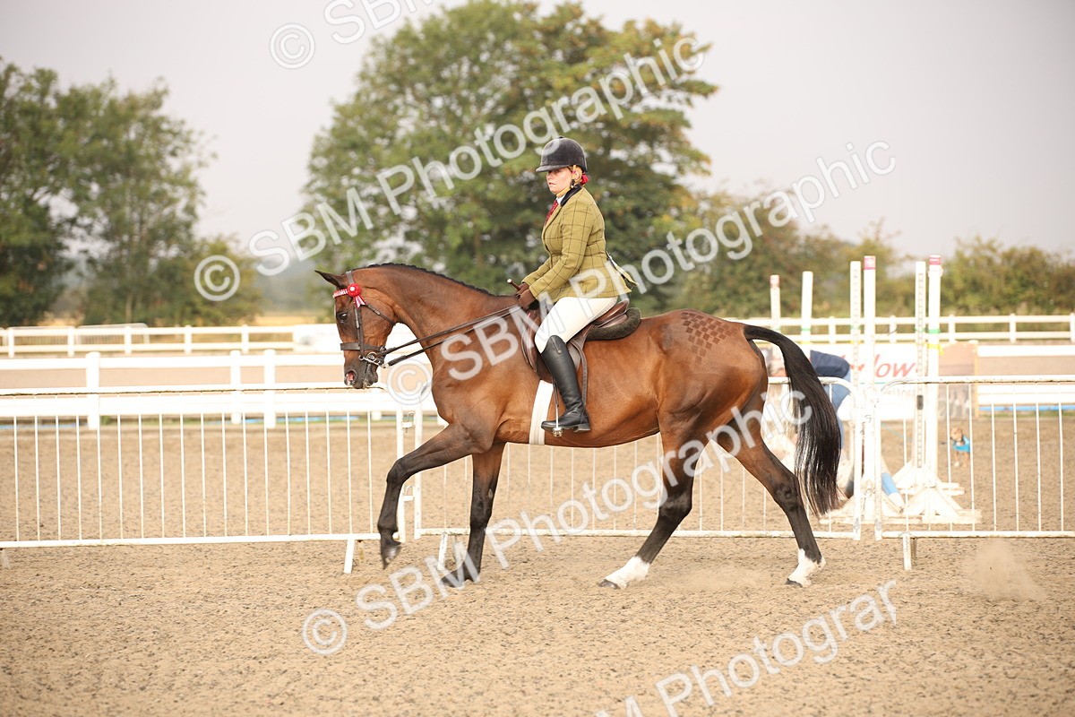 SBM_10220 - Class 402 Riding Club Horse