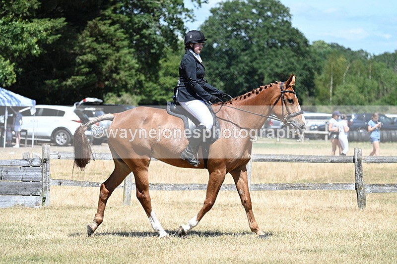 WJ7_2865 - Class 7 Riding Club Show Horse