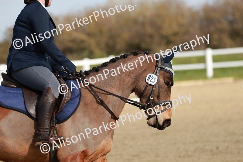 20260314-0129 - CT1 - Intro 1