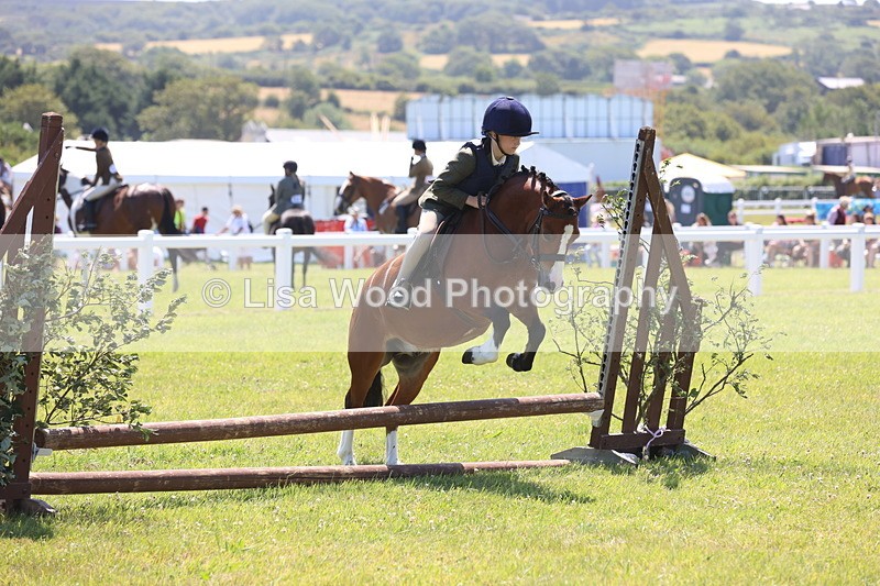 JPP_2267 - Class 20: Tiny Tots Working Hunter Pony